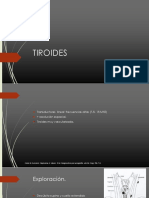 Anatomia Tiroidea