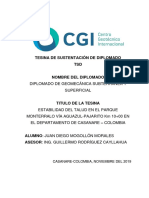 Tesina (TSD) Diplomado de Geomecánica - Juan Diego MOGOLLON MORALES PDF