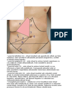 Puncte-Abdomen.pdf