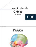 Generalidades y Huesos Del CR Neo PDF
