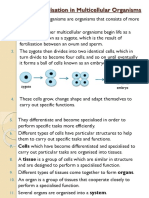 2.2.2 CELL SPECIALISATION IN MULTICELLULAR ORGANISMS.pptx