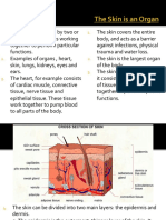 2.2.3 Organs