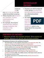 Enzymes Ii