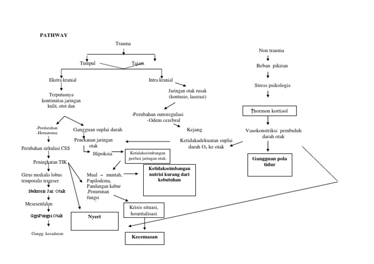 Pathway Chepalgia | PDF | Sains & Matematika