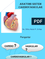 Anatomi Sistem Cardiovaskular