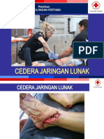 05 Cedera Jaringan Lunak - Ok