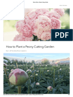 How To Plant A Peony Cutting Garden