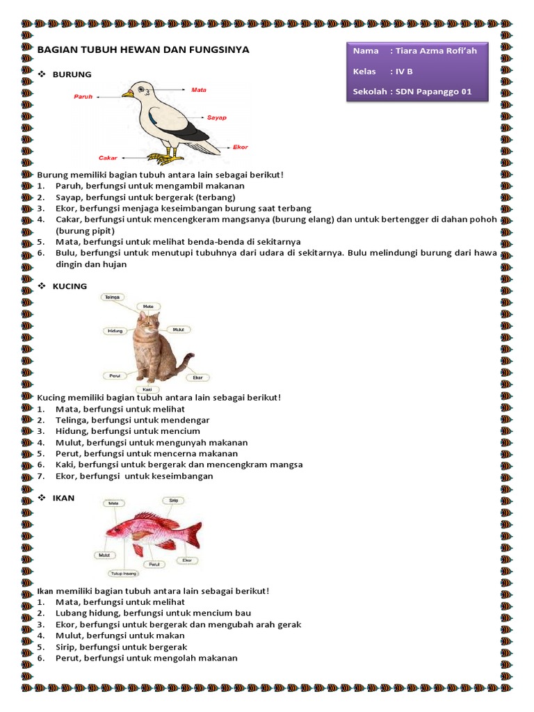 101+ Gambar Burung Dan Fungsinya Gratis