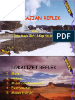 Pengkajian Reflek