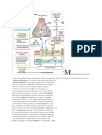 Medical pharmacology is the science of chemicals 1.docx