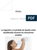 Aula Extra - Fisiologia Renal