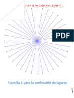 Neuroescritura de Precisión PDF