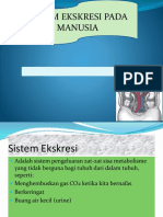 Presentasi SISTEM EKRESI.pptx