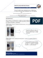 Informe Sedimentacion