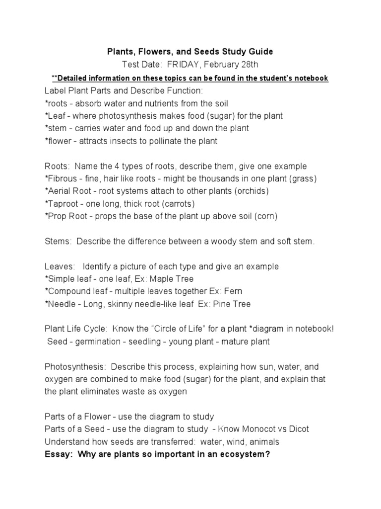 Plant Test Study Guide PDF