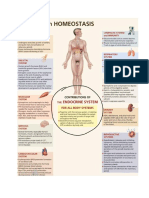 endocrie.pdf