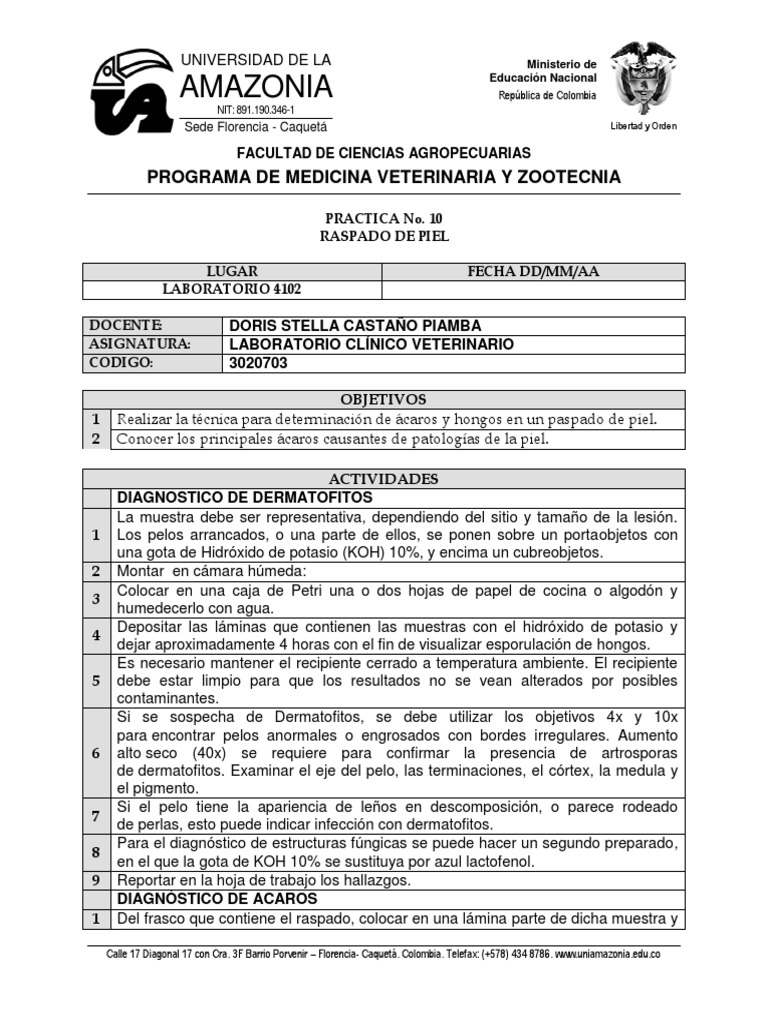 Diagnóstico de Ácaros y Hongos | PDF | Ciencia y matemáticas, image size:768x1024