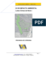 01-EIA Cimas Nono Final PDF