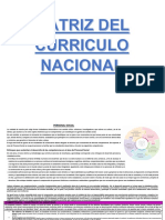 MATRIZ CURRICULO NACIONAL-1.docx