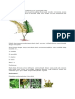 Materi Pengayaan Un Ipa Biologi 2020