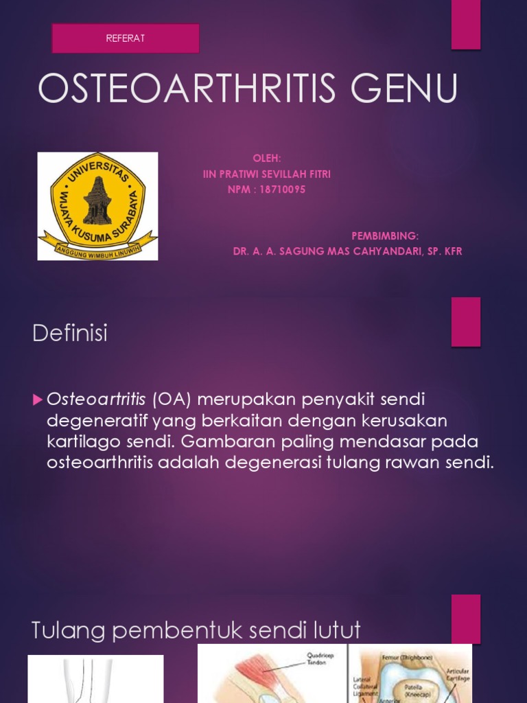 Rehab Oa Iin | PDF