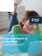 Ghidul Muzica, Softwaer-Ul Si Internetul