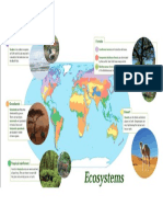 Mapamundi Ecosistemas - Ingles