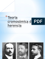 Teoría cromosómica de la herencia