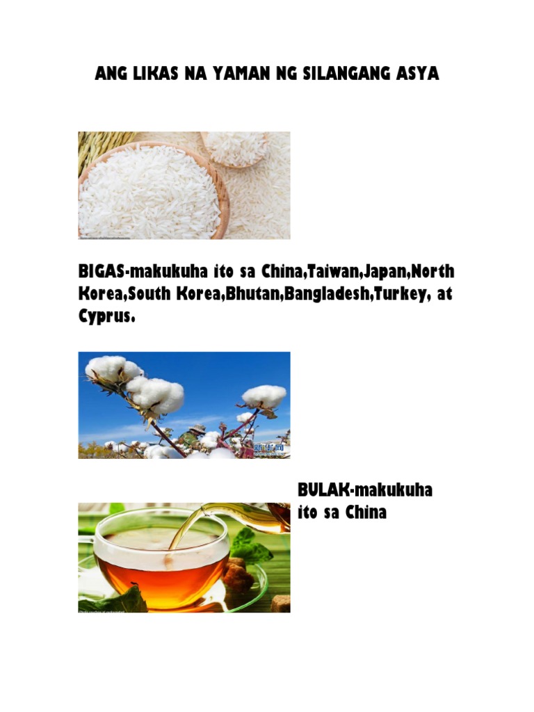 Ang Likas Na Yaman Ng Silangang Asya Pdf