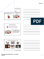 Avaliação Laboratorial Da Função Renal 2016 Labclin Turma A