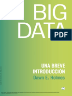 Big Data - Una Breve Introduccion- Dawn E. Holmes