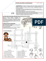 Evolución Humana-Ficha-Pra