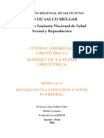 Módulo 3 - Sepsis Puerperal