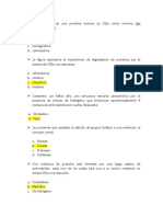 preguntas1(1).pdf