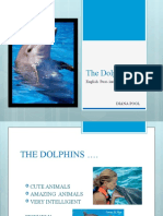 The Dolphins: English Post-Intermediate