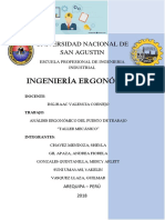 ERGONOMIA FINAL.pdf