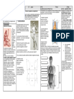 Practico Topografia