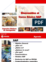 Curso básico SAP aspectos navegación