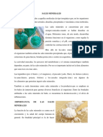 SALES MINERALES.docx