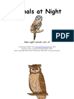 Teacher Version 12 - Animals at Night PDF