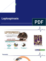 Mei 2019 - Leptospirosis.pdf