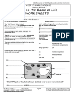 Bio Module 1 Worksheets