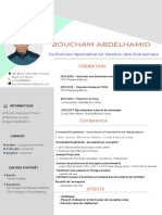 CV PDF