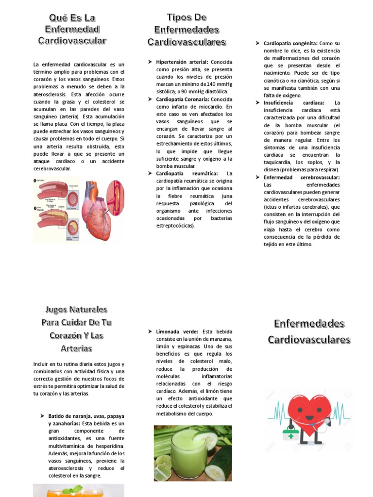 Enfermedades Cardiovasculares Folleto | PDF | Corazón | Infarto de ...