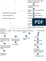 127522821-Patofisiologi-Otitis-Media-Akut.pptx