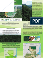 Dinamica Cobertura Forestal 2010 2016