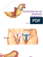 Histologia Genitales Femeninos