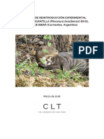 Proyecto de Reintroducción de la Nutria Gigante - Iberá.pdf