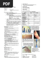 Download Enveloped and non enveloped virus by pixholic SN44868498 doc pdf