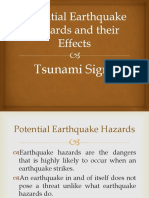 Potential Earthquake Hazards and their Effects